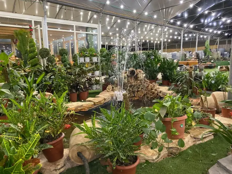 מראה מהמשתלה באלפי מנשה — צילום 4