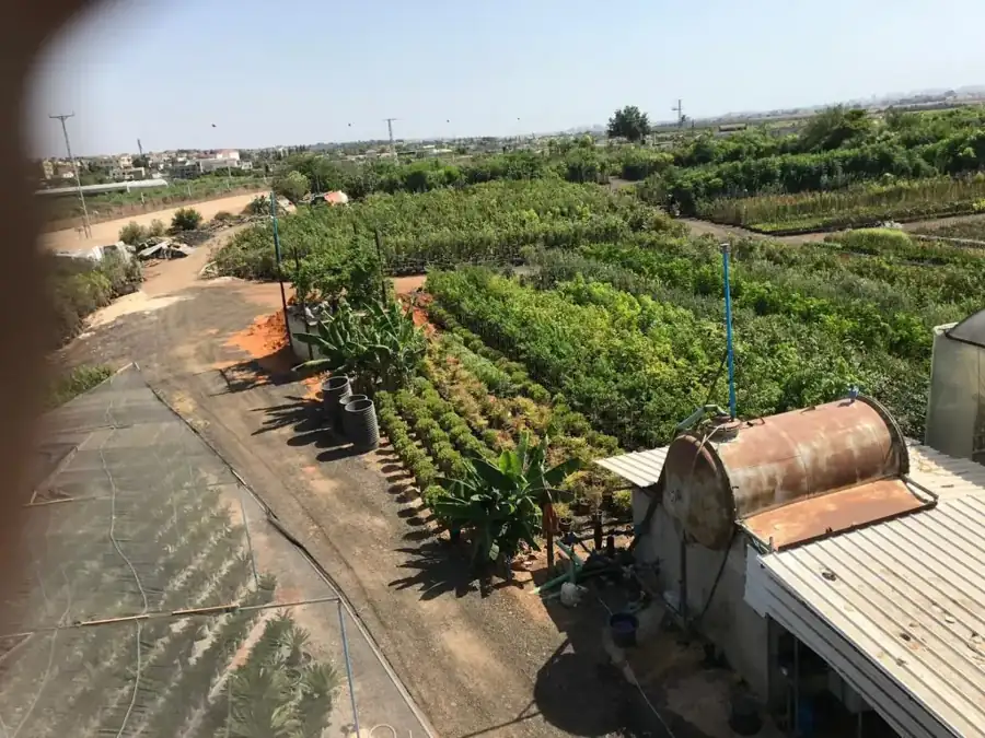 מראה מהמשתלה באלפי מנשה — צילום 8