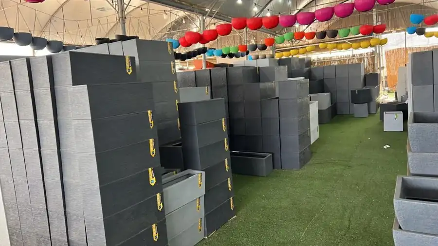 מראה מהמשתלה באלפי מנשה — צילום 13