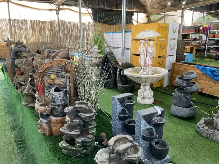 מראה מהמשתלה באלפי מנשה — צילום 32