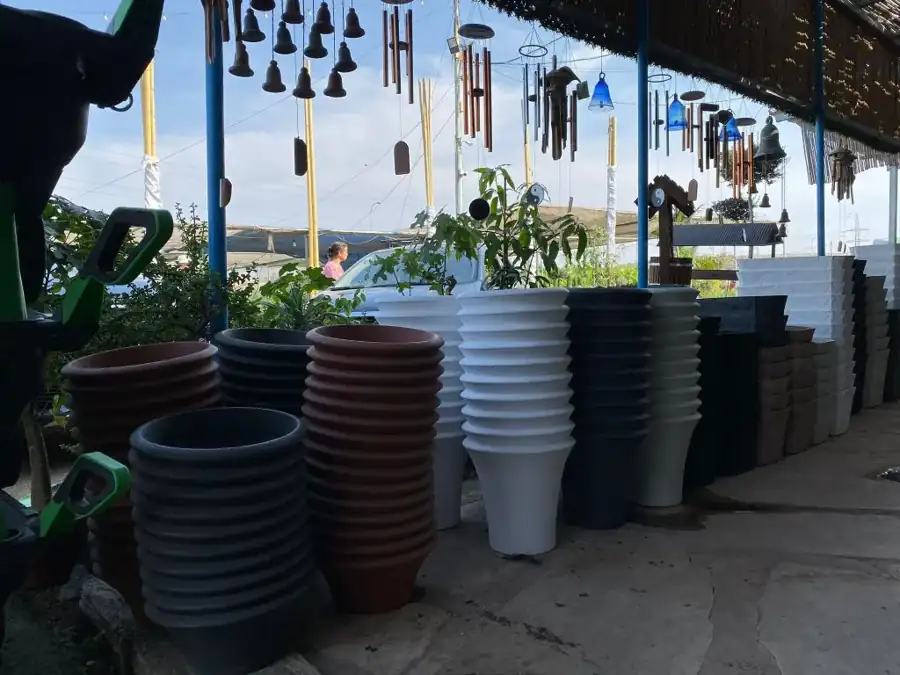 מראה מהמשתלה באלפי מנשה — צילום 35