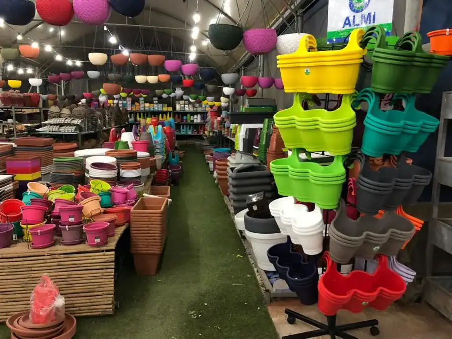 מראה מהמשתלה באלפי מנשה — צילום 38