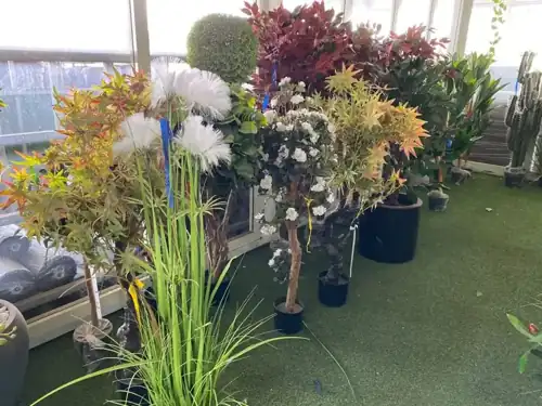 מראה מהמשתלה באלפי מנשה — צילום 2